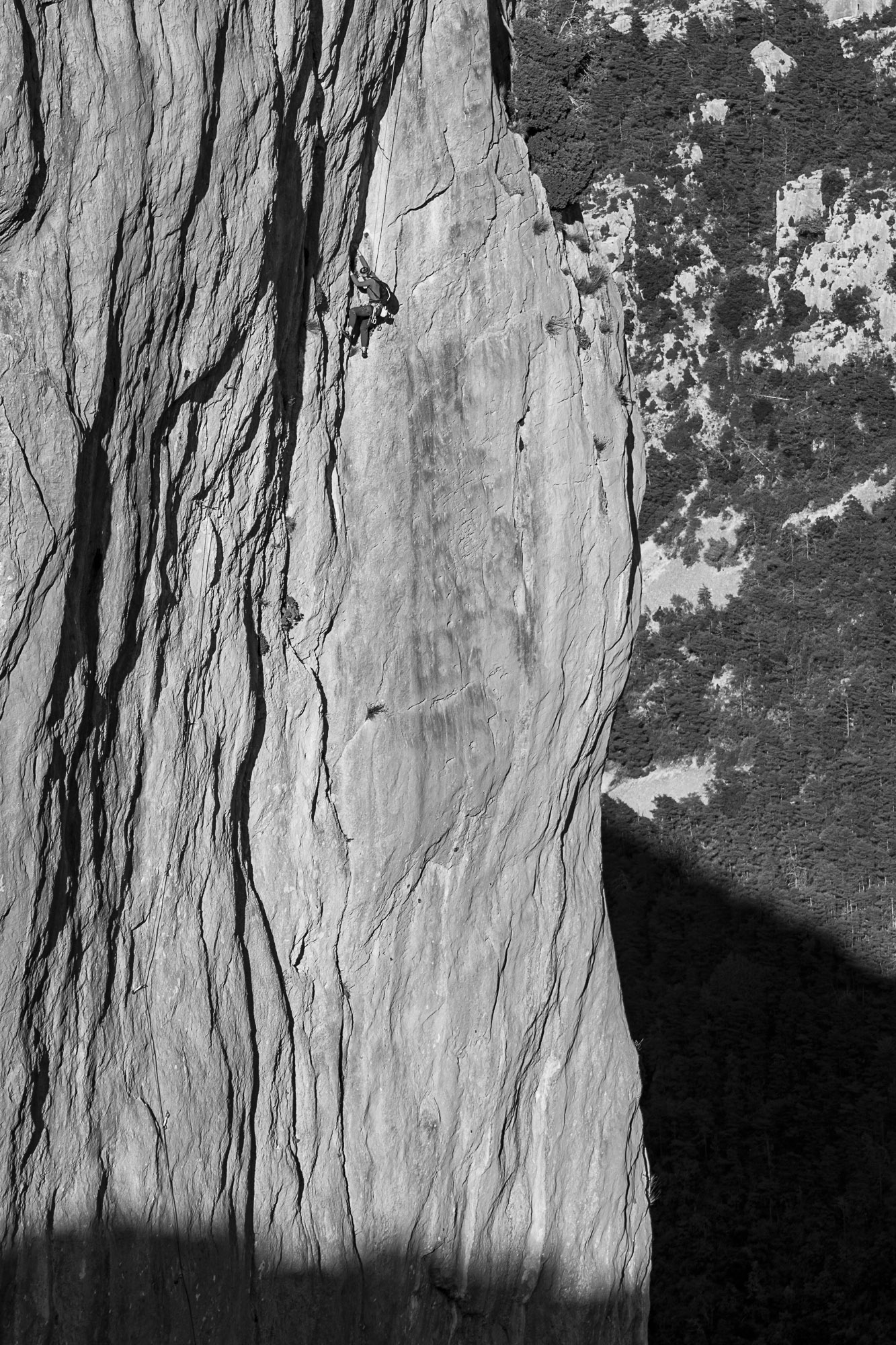 Rose McKlausson - Verdon