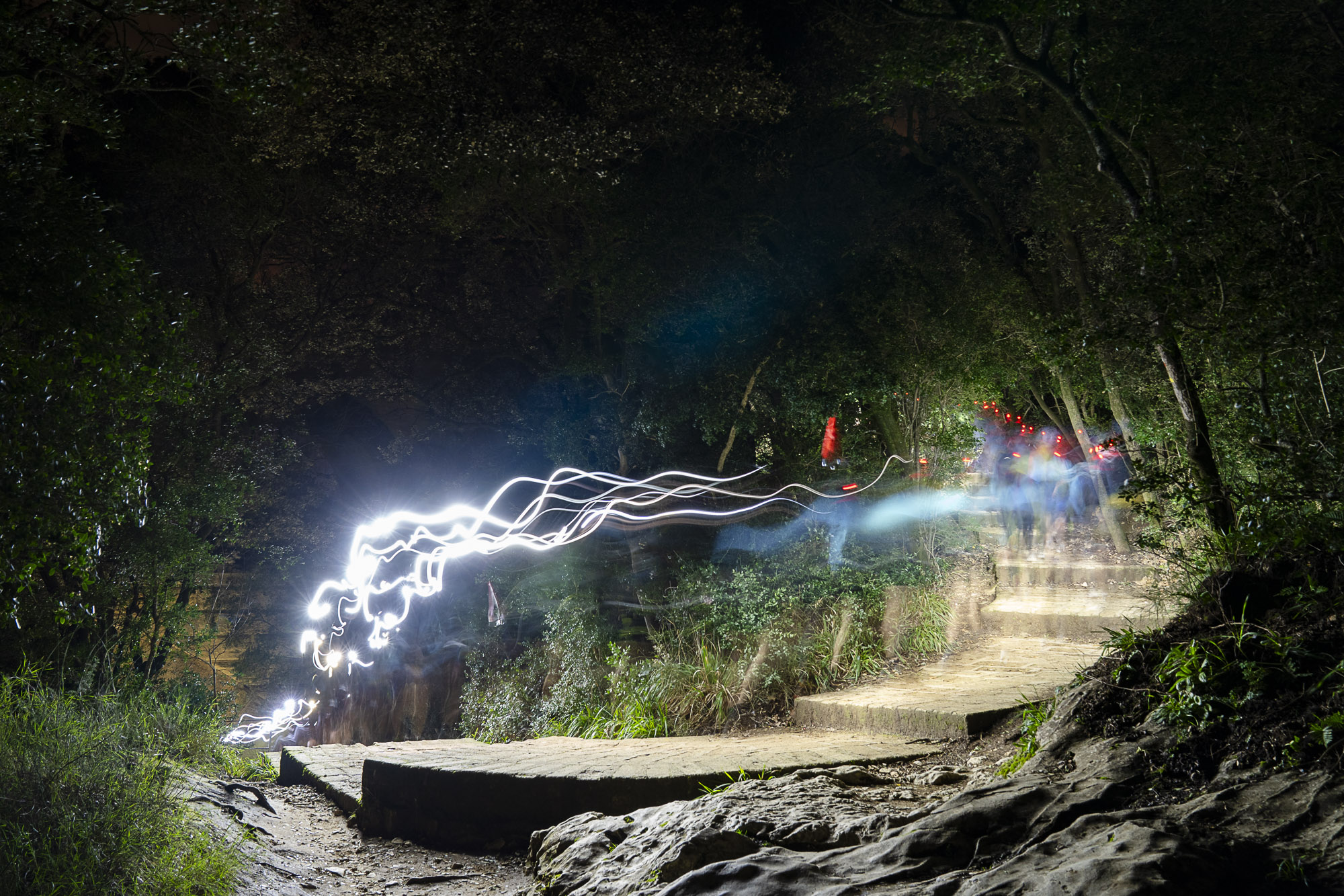 2501 Infinity Backyard Pont du Gard-14