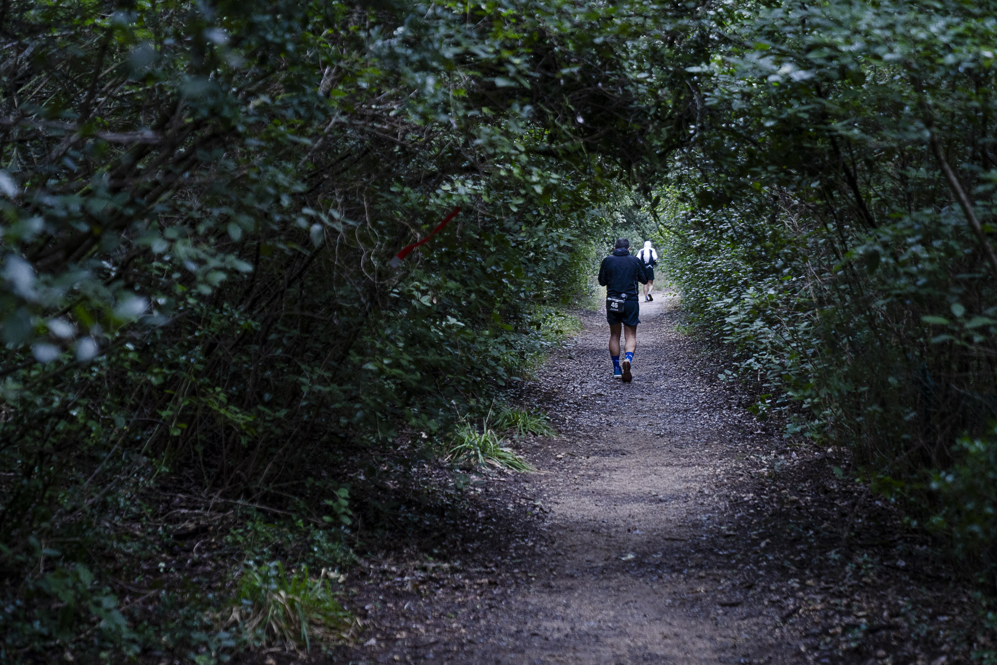 2501 Infinity Backyard Pont du Gard-24