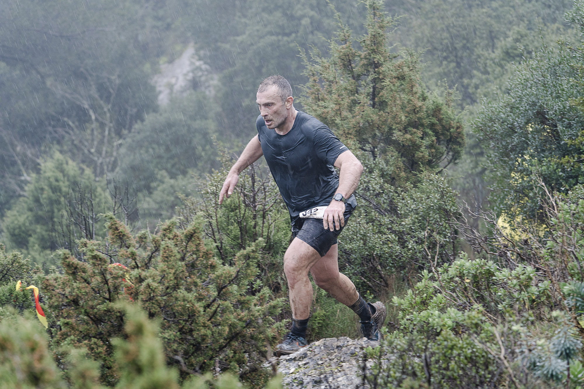 2502 Trail Glanum-10