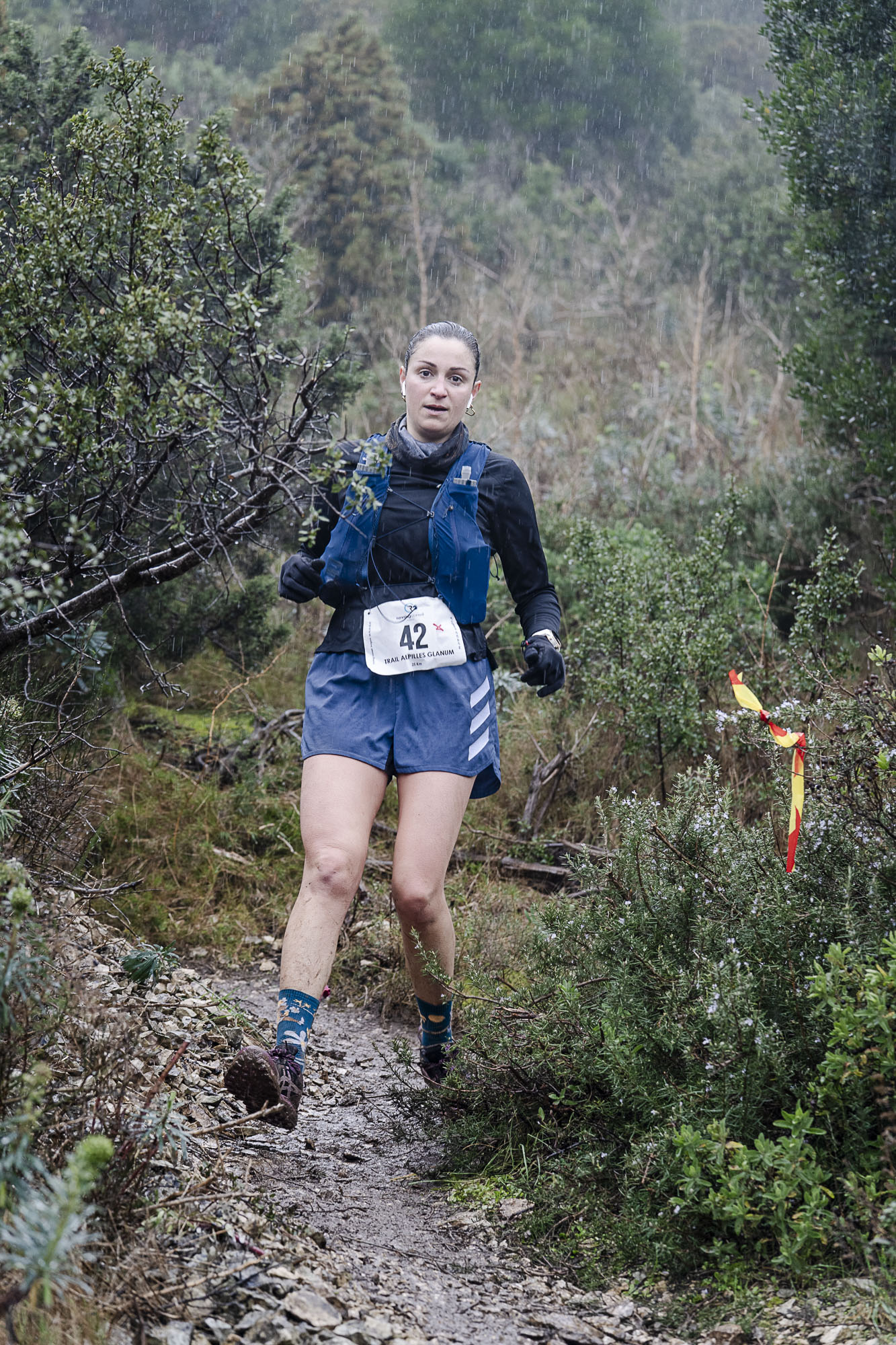 2502 Trail Glanum-11