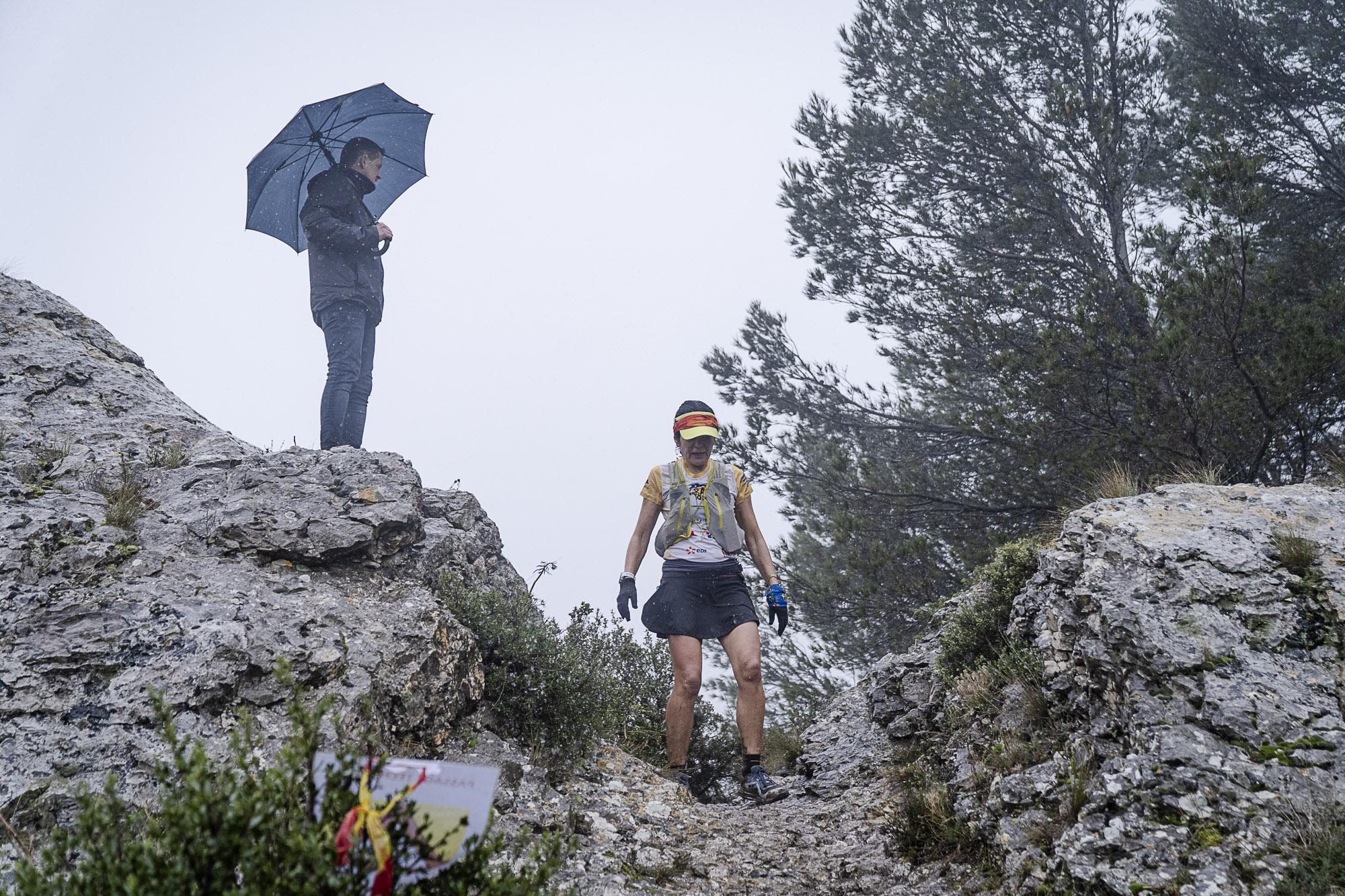 2502 Trail Glanum-12